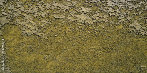 A close up of green crocodile and snake skin texture reflecting on the clear surface of a mossy stone wall by a blue river stream