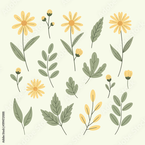 Spring Daisy Flowers Collection Garden Floral Elements