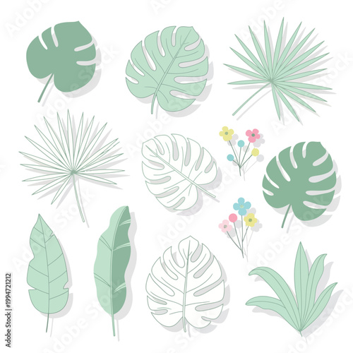Tropical Leaves Clipart Monstera Palm Botanical Set