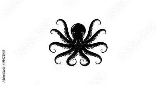 Black octopus with curled tentacles underwater.