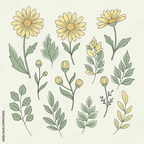Yellow Floral Clipart Set Bold Botanical Flower Elements