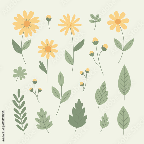 Yellow Daisy Flower Clipart Set Clean Botanical Floral Vector