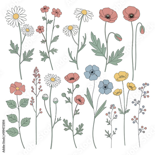Colorful Flower Clipart Set Bright Botanical Floral Elements