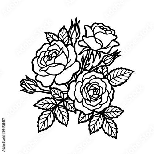 Black and White Rose Illustration.
