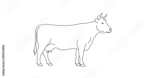 Simple Line Art of a Cow Standing Profile View, Dairy Farm Animal Illustration