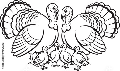 Two large turkeys facing each other with two small turkey chicks in middle illustration for autumn.