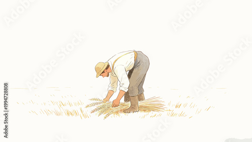 Illustration of a Male Farmer Bending to Harvest Golden Wheat in an Open Field, Minimalist Watercolor Style Against a Soft Plain White Background