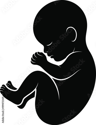 Black silhouette of a human fetus in womb position isolated on white background symbol of pregnancy embryonic development and new life.