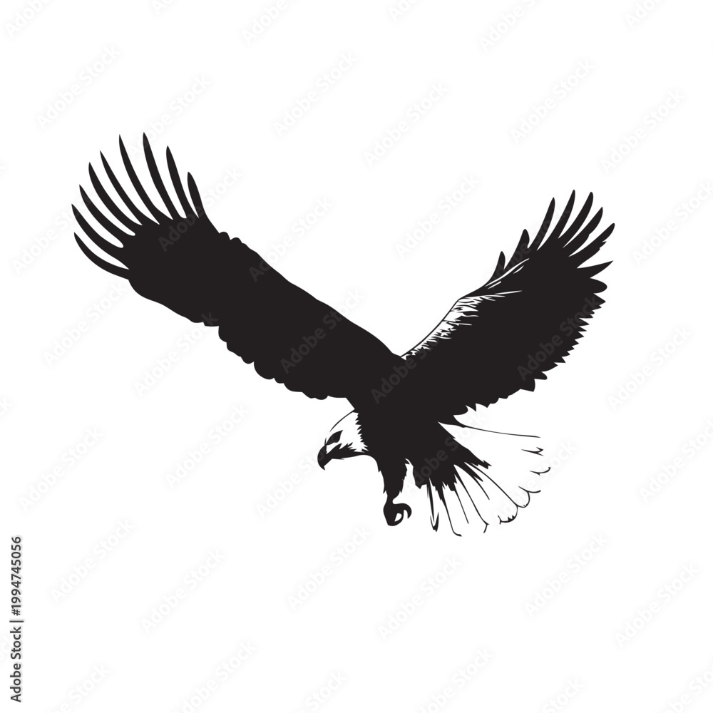 Fototapeta premium eagle vector illustration