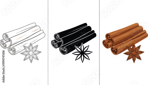 Vector illustration of cinnamon sticks and star anise in outline, silhouette and full color decorative design