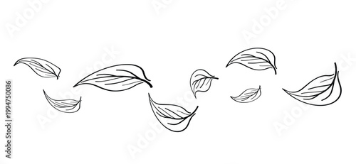 Cartoon falling leaves, by the wind, autumn siskin. Autumn leaves fall on the ground concept. The symbol of letting go, depression, or change, or in other words, something ends so that something else 