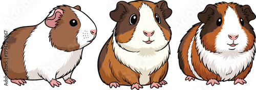 Guinea Pig Illustrations in Different Colors, Cute Rodent Pets for Animal Lovers, Pet Care, and Small Pet Designs