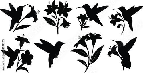 corn, maize, vector, agriculture, food, vegetable, farm, seed, plant, harvest, illustration, icon, organic, yellow, cob, kernel, set, collection, design, natural, graphic, healthy, ingredient, nature,