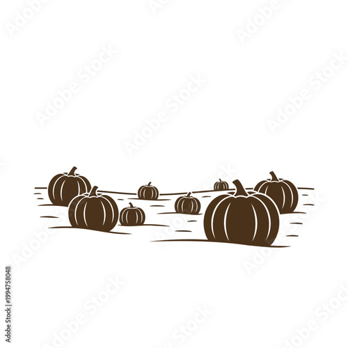 Brown pumpkins on a field in a brown and white illustration