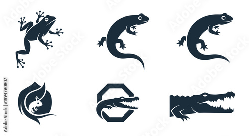 Amphibian and reptile vector icons set for nature and wildlife design.