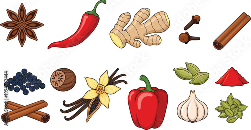 Hand drawn spice collection featuring cinnamon sticks garlic chili ginger star anise vanilla bean cardamom cloves and bell pepper for culinary cooking design.