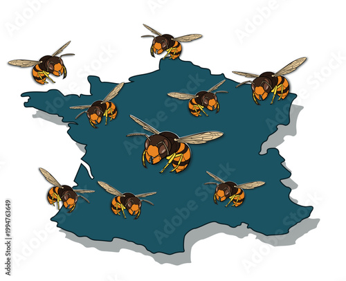 Invasion frelons asiatiques