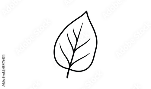 Detailed black and white line drawing of a single leaf with prominent veins, isolated on a white background, perfect for botanical illustrations and designs.