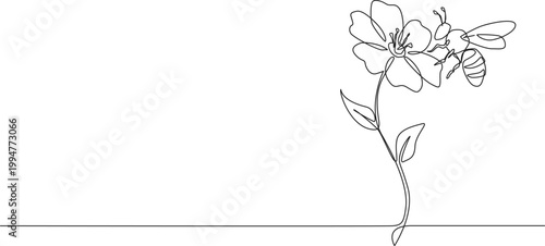 continuous line drawing of honey bee on flower, line art vector illustration