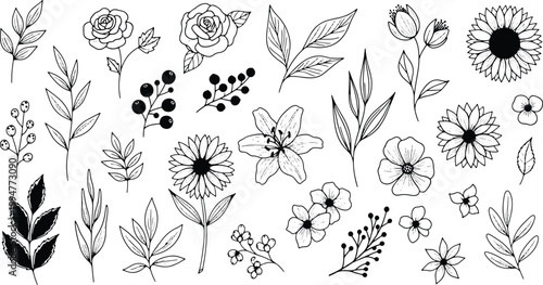 Hand drawn floral outline collection with botanical flowers leaves branches and decorative nature elements for elegant design
