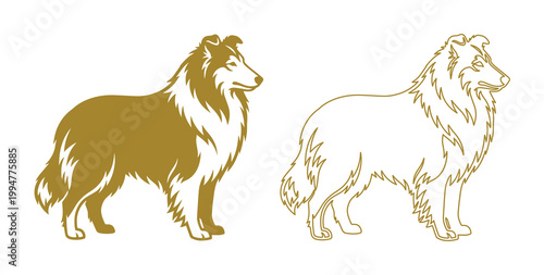 Rough Collie dog vector silhouettes, gold sheepdog breed profile icons, set of 2 standing long-haired collie illustrations for pet branding and logos