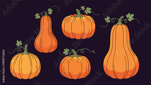 Selection of five different orange pumpkins and gourds in various shapes with green leaves on a dark purple background.