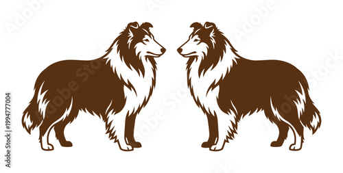 ヴィンテージスタイルのラフコリーのイラスト, 向かい合う2匹の犬のベクターシルエット, ブラウンとホワイトのクラシックな牧羊犬のグラフィック, ペットショップや動物病院のロゴデザインに最適な動物素材