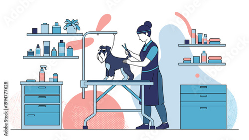 Professional pet groomer trimming the coat of a schnauzer dog on a grooming table in a well equipped salon with shelves of products.