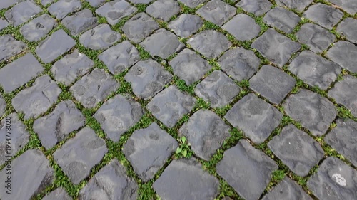 Historic Sanpietrini Cobblestone Texture On Rome Street Italy