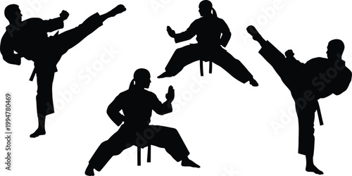Martial arts silhouettes performing kicks and stances isolated on white background, Vector