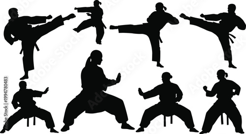 Martial arts silhouettes performing kicks and punches isolated on white background, Vector