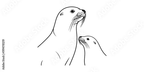 Cute mother seal and her baby pup line drawing
