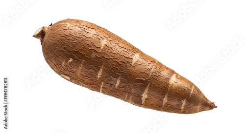 Fresh Whole Cassava Root Isolated on White Background - Raw Yuca Manioc Vegetable
