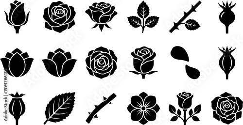 Vintage engraving set of rose botanical elements featuring flower buds, blooming blossoms, prickly stem, rosehip fruit, and serrated leaves.
