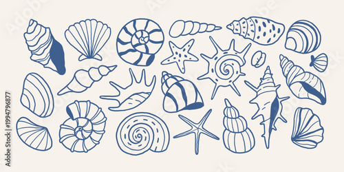 Collection of seashells, spiral shells and starfish in mediterranean line style. Hand drawn vector illustration for branding, prints, beach themed designs.