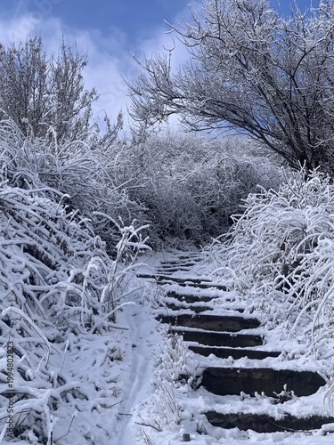 Snowy path through frosted trees in a serene winter landscape under a partly cloudy sky.