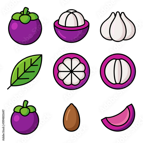 Purple Mangosteen Fruit Illustration Set with Whole Half Sliced Leaf and Seed Elements Isolated on White Background for Food and Nutrition