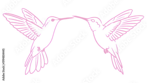 Minimal clean vector line art of two hummingbirds flying in symmetrical composition, wings spread wide, facing each other mid-air, smooth consistent stroke weight, no fill color, transparent backgroun