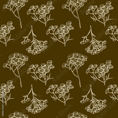 Seamless pattern of Common tansy plant