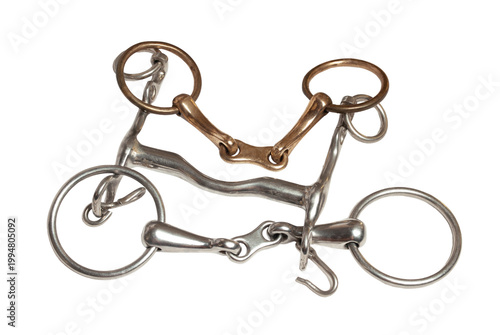 various horse bits isolated on white background. horse equipment