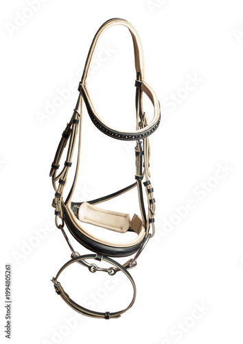 beautiful luxury leather  bridle with bit isolated on white background background