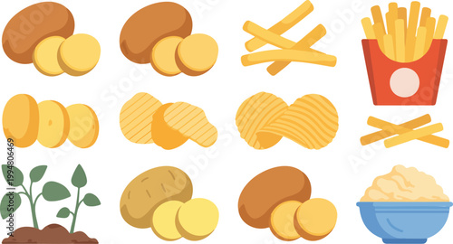Flat cartoon illustration of potatoes and derivatives including fries chips wedges mashed potato plant grid white background