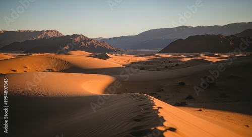 Stunning golden sand dunes in the desert at sunset