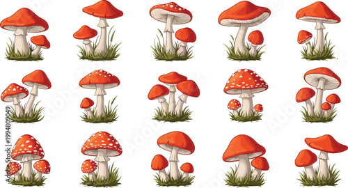 Red Toadstool Mushroom Collection with Amanita Fungi in Grass for Nature Design and Detailed Vector Illustration Set.