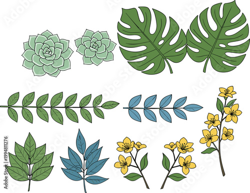 Hand drawn fruits and leaves collection with grapes, banana, tropical foliage and floral elements, botanical vector illustration set for nature and food design