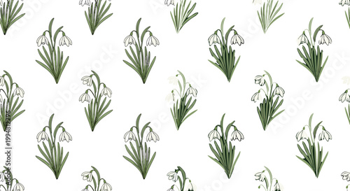 Seamless snowdrop flower pattern with hand drawn botanical elements for spring nature background textile and wallpaper vector illustration