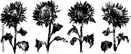 silhouettes of four tall sunflowers with leaves and stems in a row