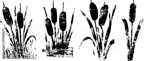 black silhouettes of cattail plants in water and grass, nature wetland marsh plants illustration