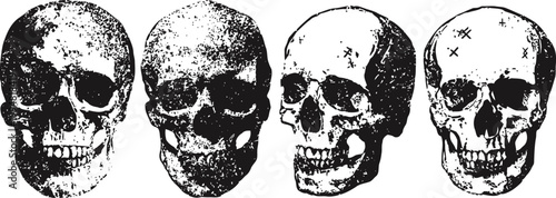 four detailed human skull illustrations showing different angles and shading styles