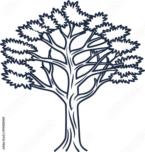 hand drawn oak tree illustration with detailed branches and foliage on white background